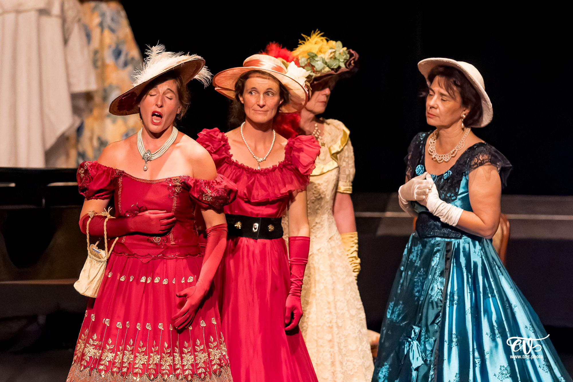DANS LE SALON DE ROSSINI